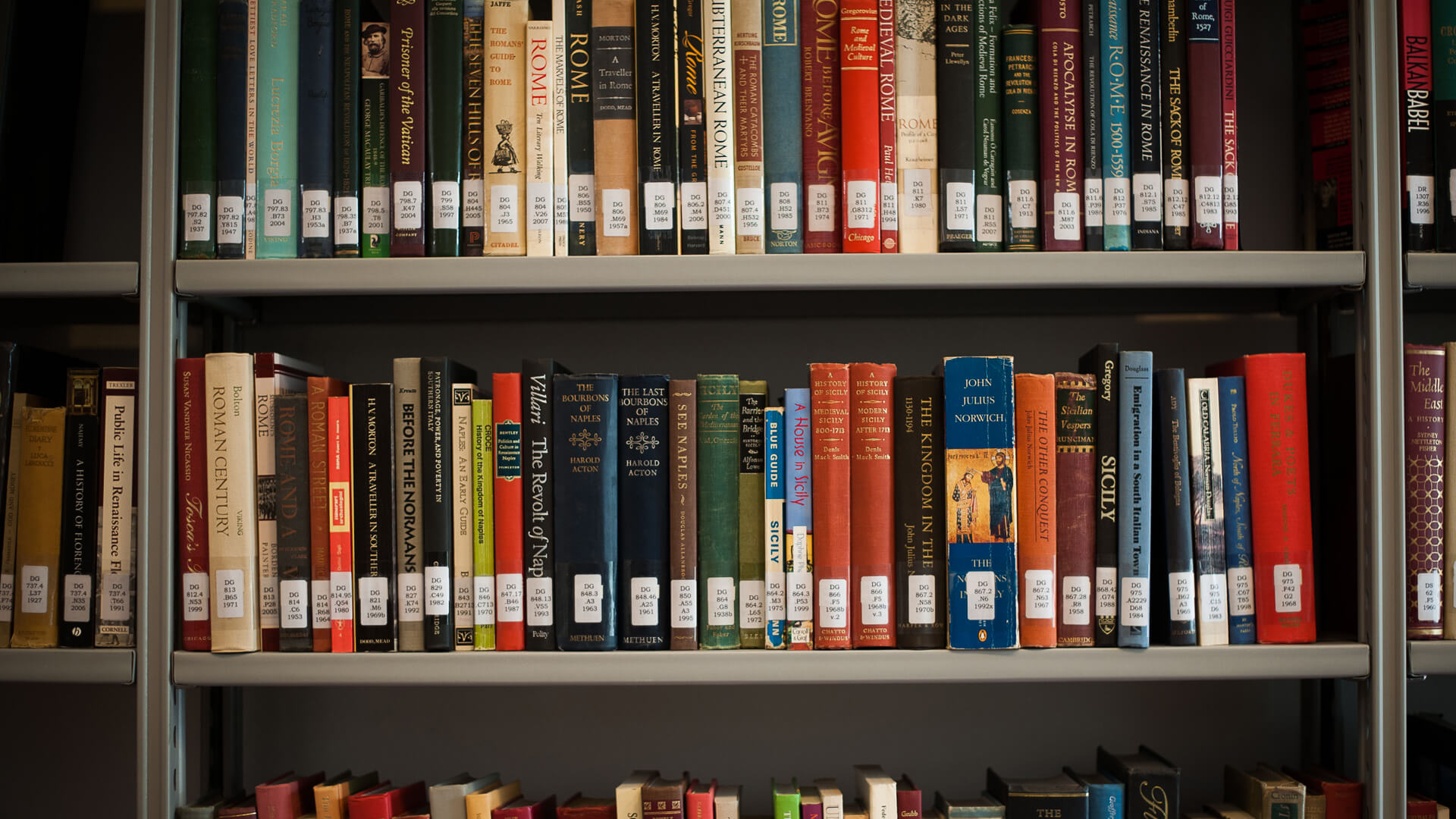 Library.jpg Library Background
