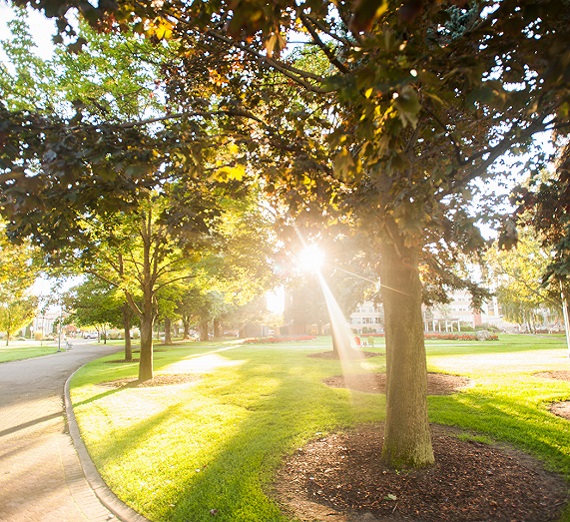 Morning at Gonzaga University