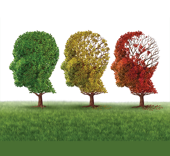 trees with diminishing levels of leaves
