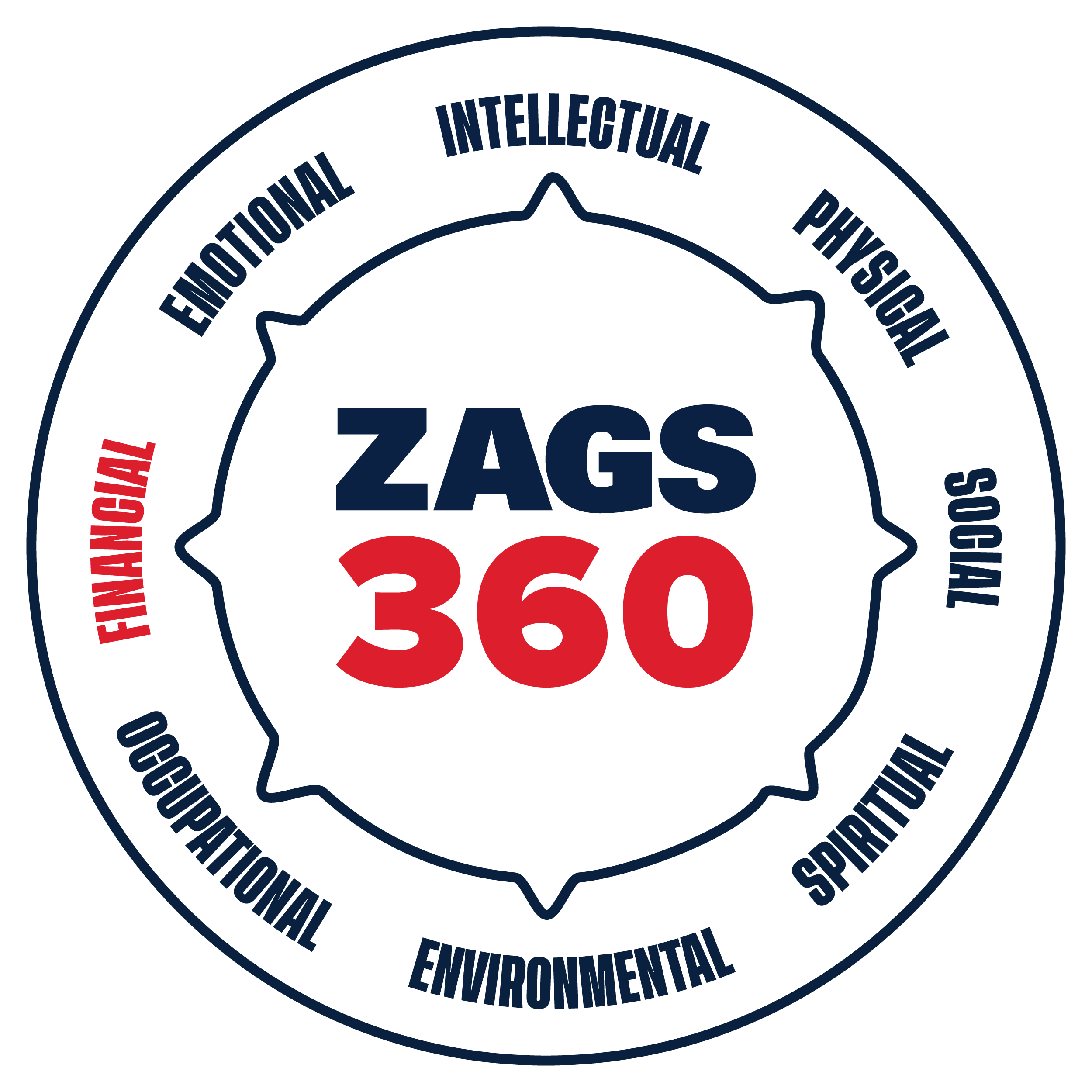 zags360_SAMHSA_wheel_highlights_financial decorative image