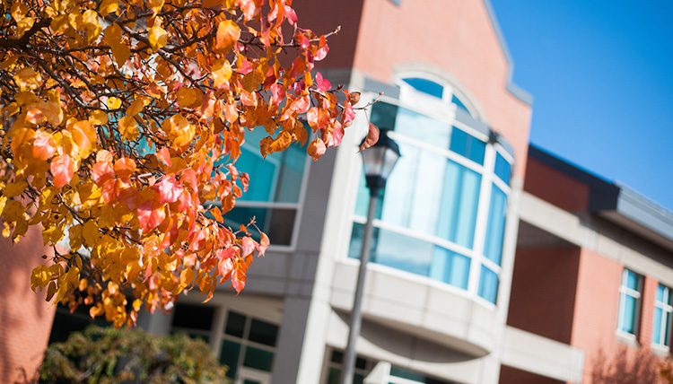 An image of the Rosauer Center building on a sunny fall day An image of the Rosauer Center building on a sunny fall day