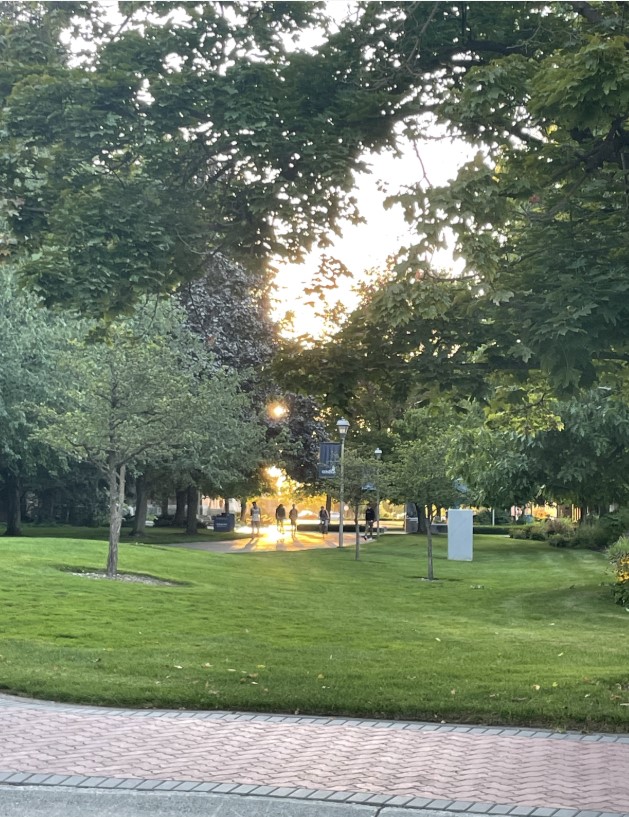 Sunset on campus