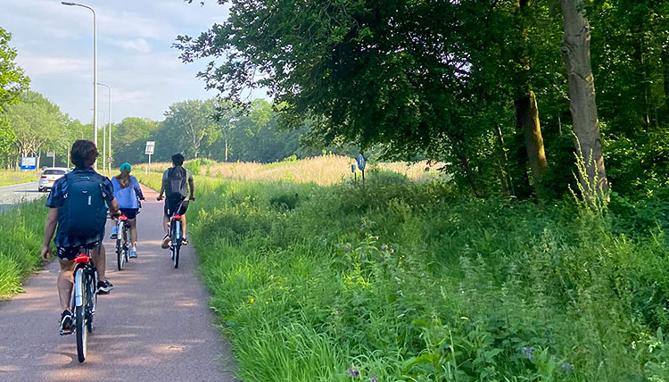 students cycle on a path separate from cars