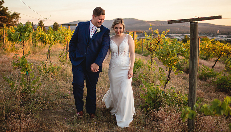 wedding couple walking in a vineyard at sunset wedding couple walking in a vineyard at sunset