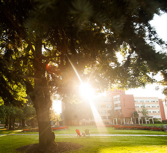 Scenic campus with sunlight filtering through trees.