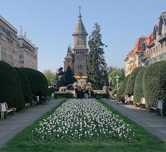 A Cathedral in Romania with flowers in front, and rows of buildings along the side