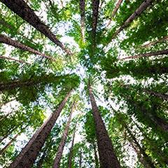 Protecting Our Planet