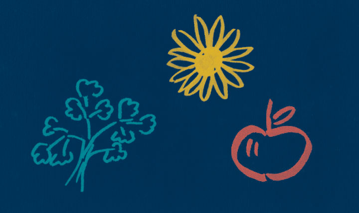 line drawings of trees, sun and apple line drawings of trees, sun and apple