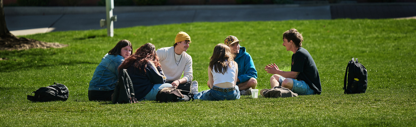 Students sitting on a green lawn