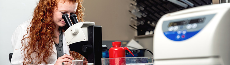 Student looks through a microscope in a lab. Student looks through a microscope in a lab.