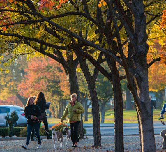 campus in the fall 