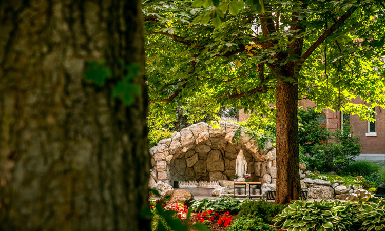 Gonzaga's lush landscape in the summer.