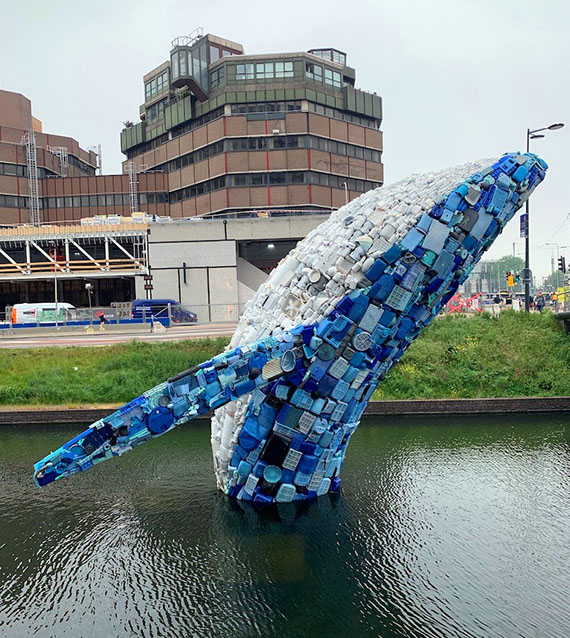whale whale