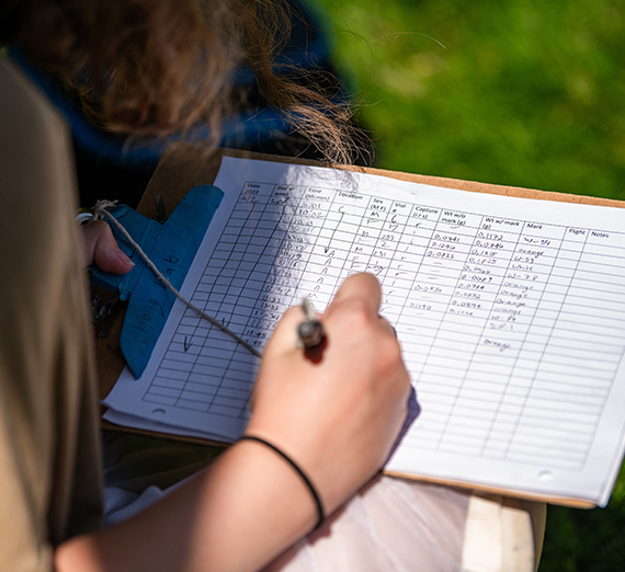 a student completes a log of research on pollinators