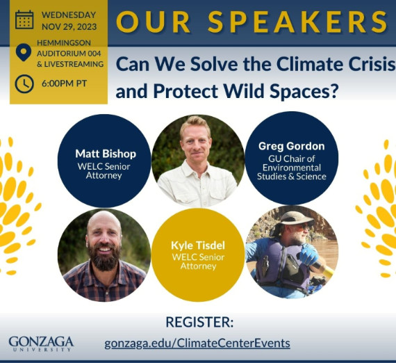 Can We Solve the Climate Crisis and Protect Wild Spaces?