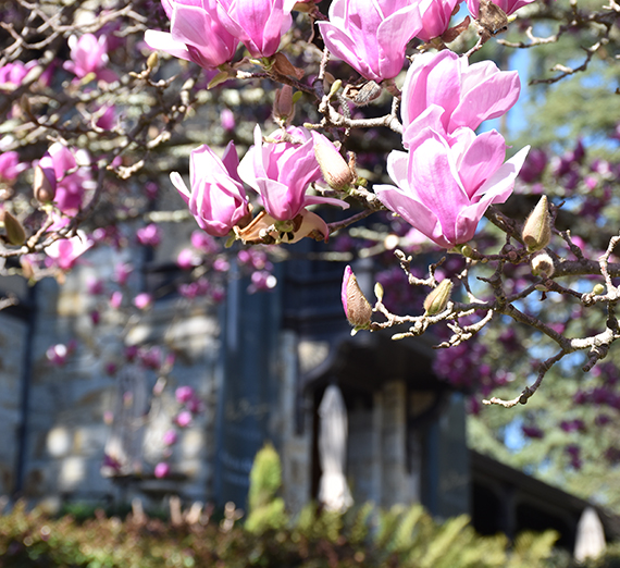 Mindfulness: Inter-faith Perspectives & Practice