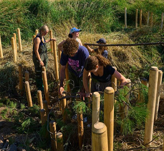 people placing large wooden poles in a streambed
