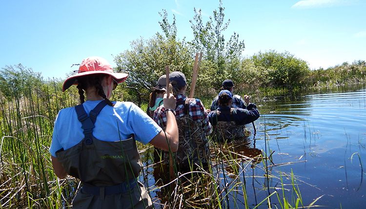 Students wading waist-deep in a Northwest lake. Students wading waist-deep in a Northwest lake.