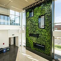 A wall with green plants integrated into design. A wall with green plants integrated into design.
