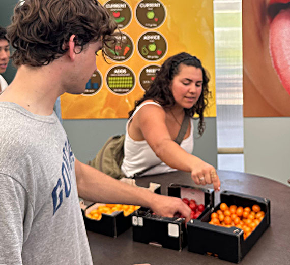 Two students pick up a small tomato