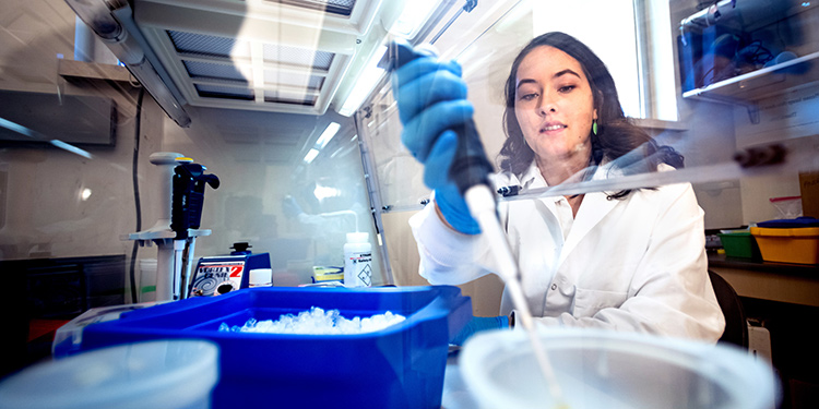 A female students transfers a sample to a new container