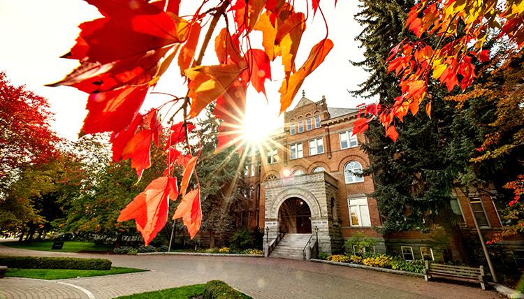 sun shining through fall leaves on College Hall sun shining through fall leaves on College Hall