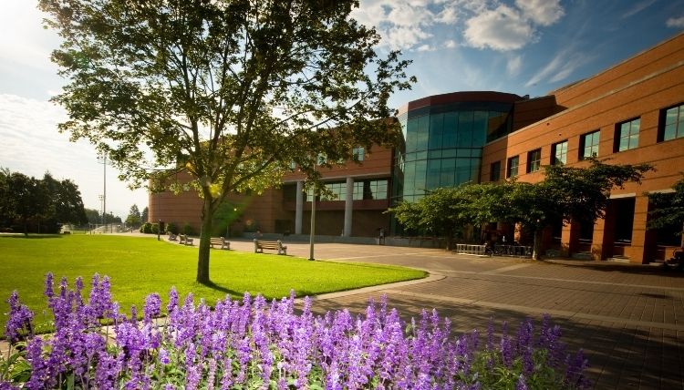 A shot of Foley Library and Foley Lawn taken from the side. It is a sunny day with some clouds and purple flowers are in the bottom of the photo. A shot of Foley Library and Foley Lawn taken from the side. It is a sunny day with some clouds and purple flowers are in the bottom of the photo.