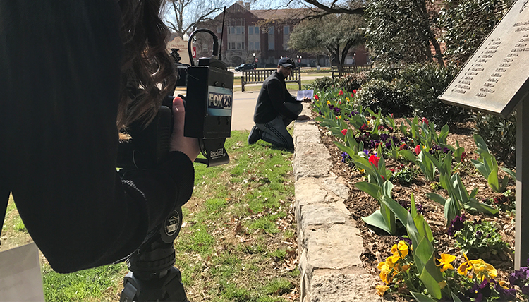 camera woman filming a man kneeling by a bed of tulips on a sunny day camera woman filming a man kneeling by a bed of tulips on a sunny day