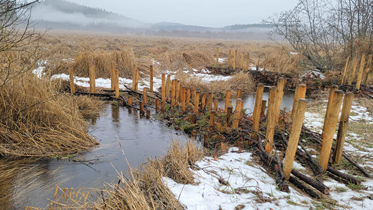 A completed starter dam in the foreground and a secondary dam behind it A completed starter dam in the foreground and a secondary dam behind it