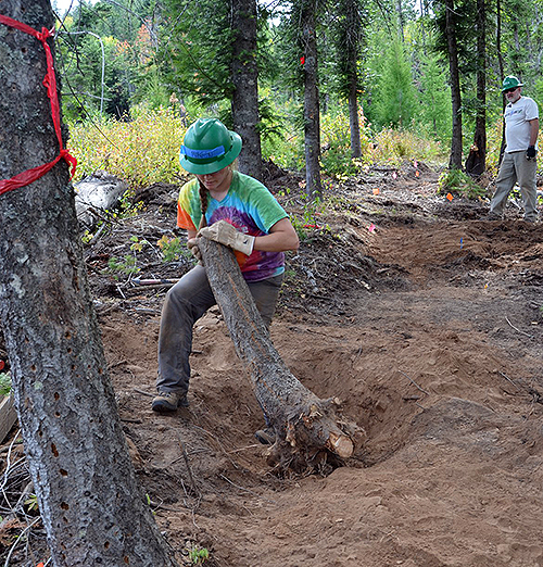 A Gonzaga student in an environmental studies course helps build a new trail with the Washington Trails Association on the recently acquired Mica Peak conservation land. (Photo courtesy Greg Gordon) A Gonzaga student in an environmental studies course helps build a new trail with the Washington Trails Association on the recently acquired Mica Peak conservation land. (Photo courtesy Greg Gordon)